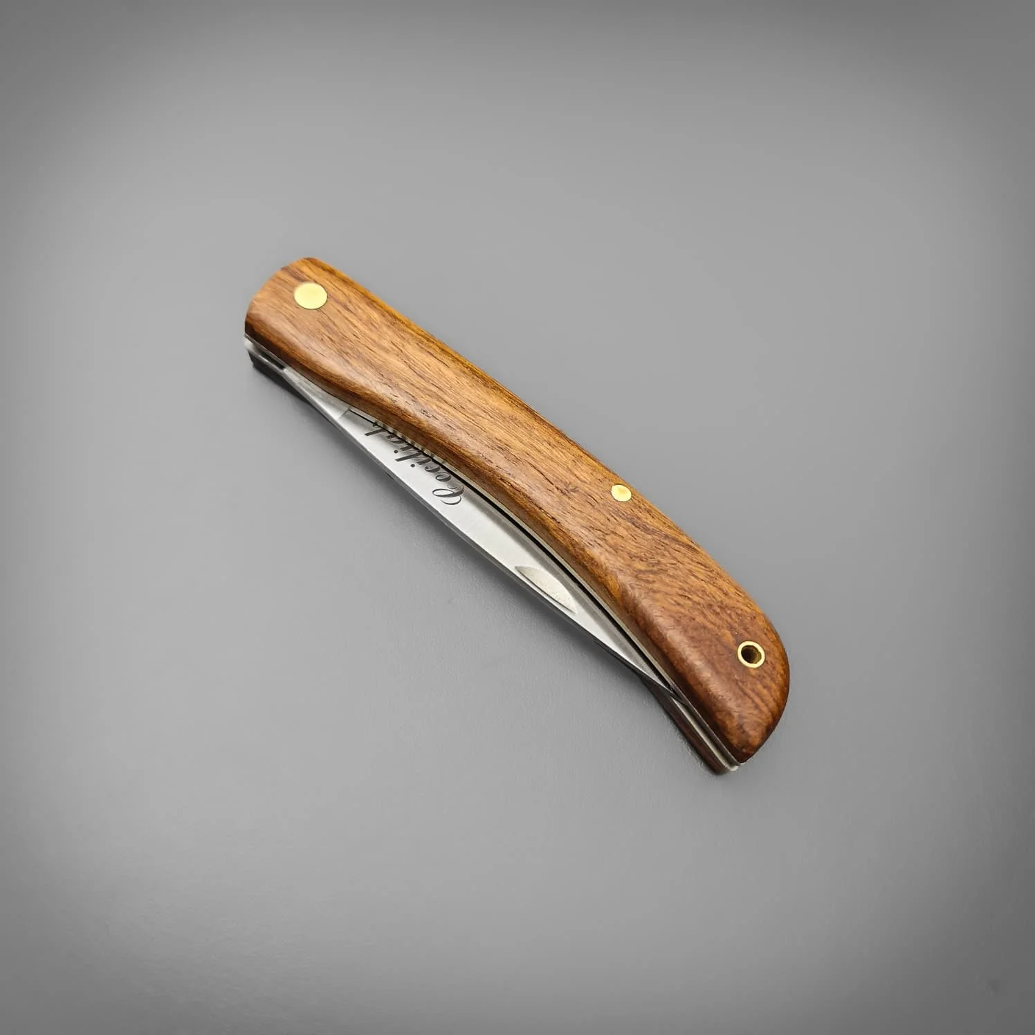 Ceciliah - EDC - Image 3